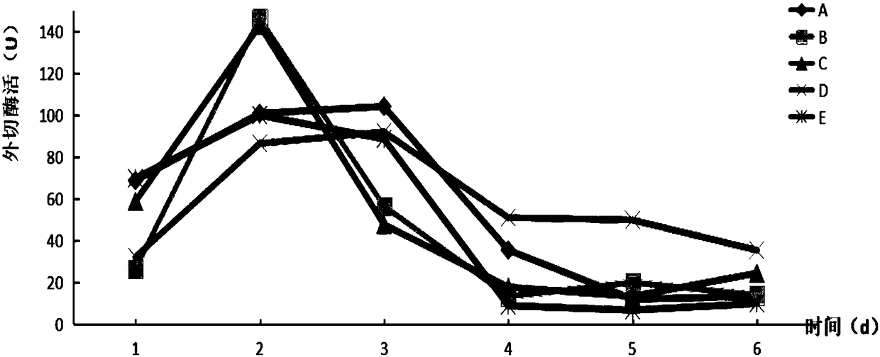 Garden waste degradation bacteria agent