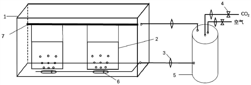 Flash illumination type microalgae bio-membrane reactor and microalgae culture method