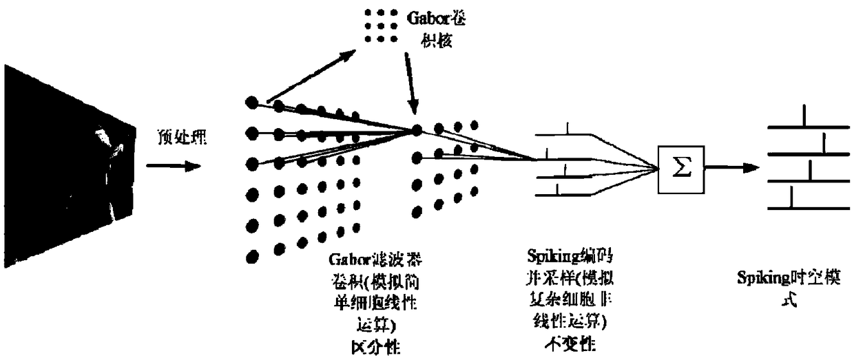 An image feature description method based on impulse neural network