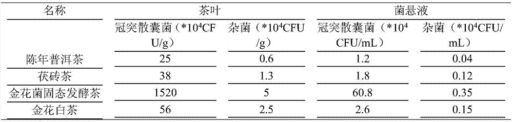 Preparation method of golden flower white tea cake tea