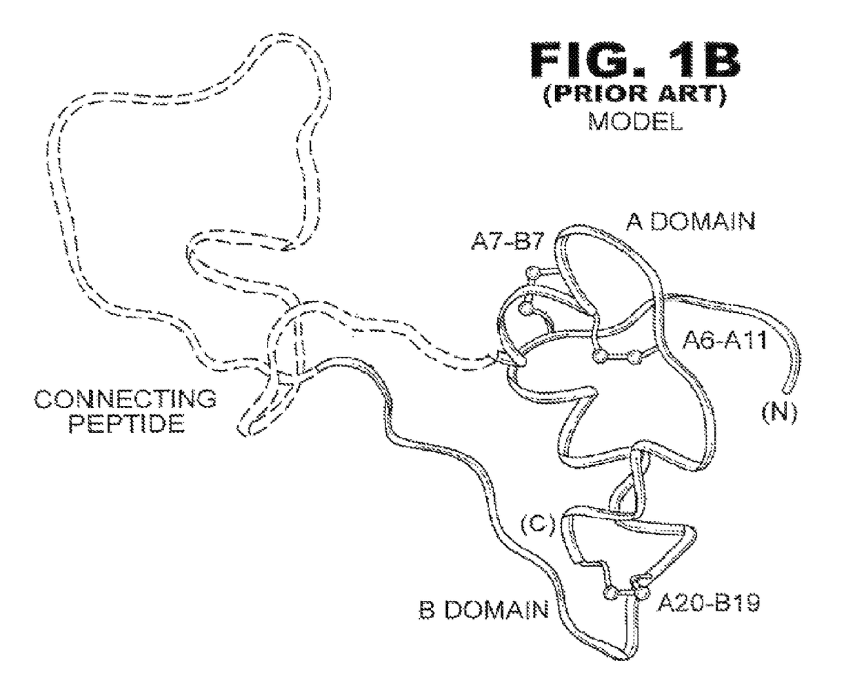 O-linked carbohydrate-modified insulin analogues