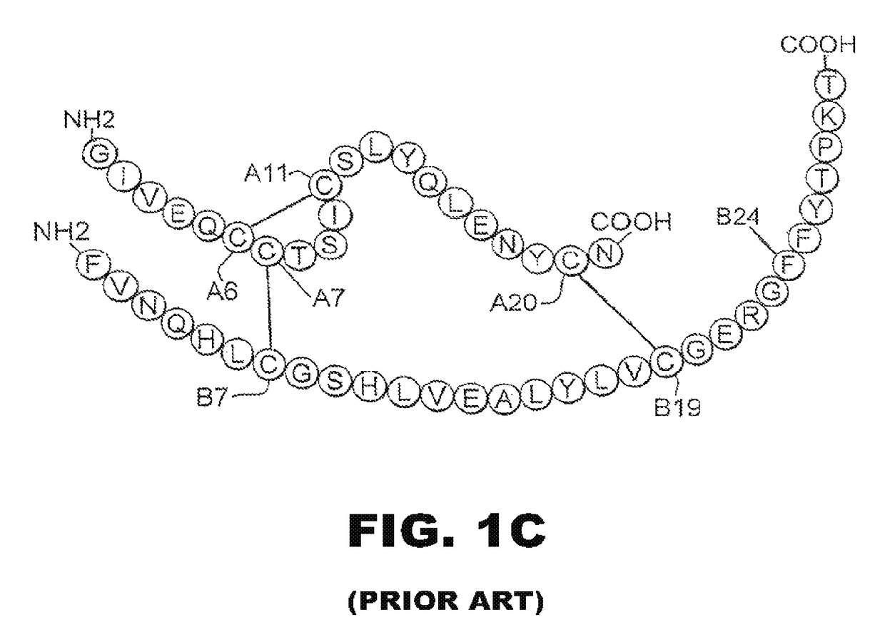 O-linked carbohydrate-modified insulin analogues