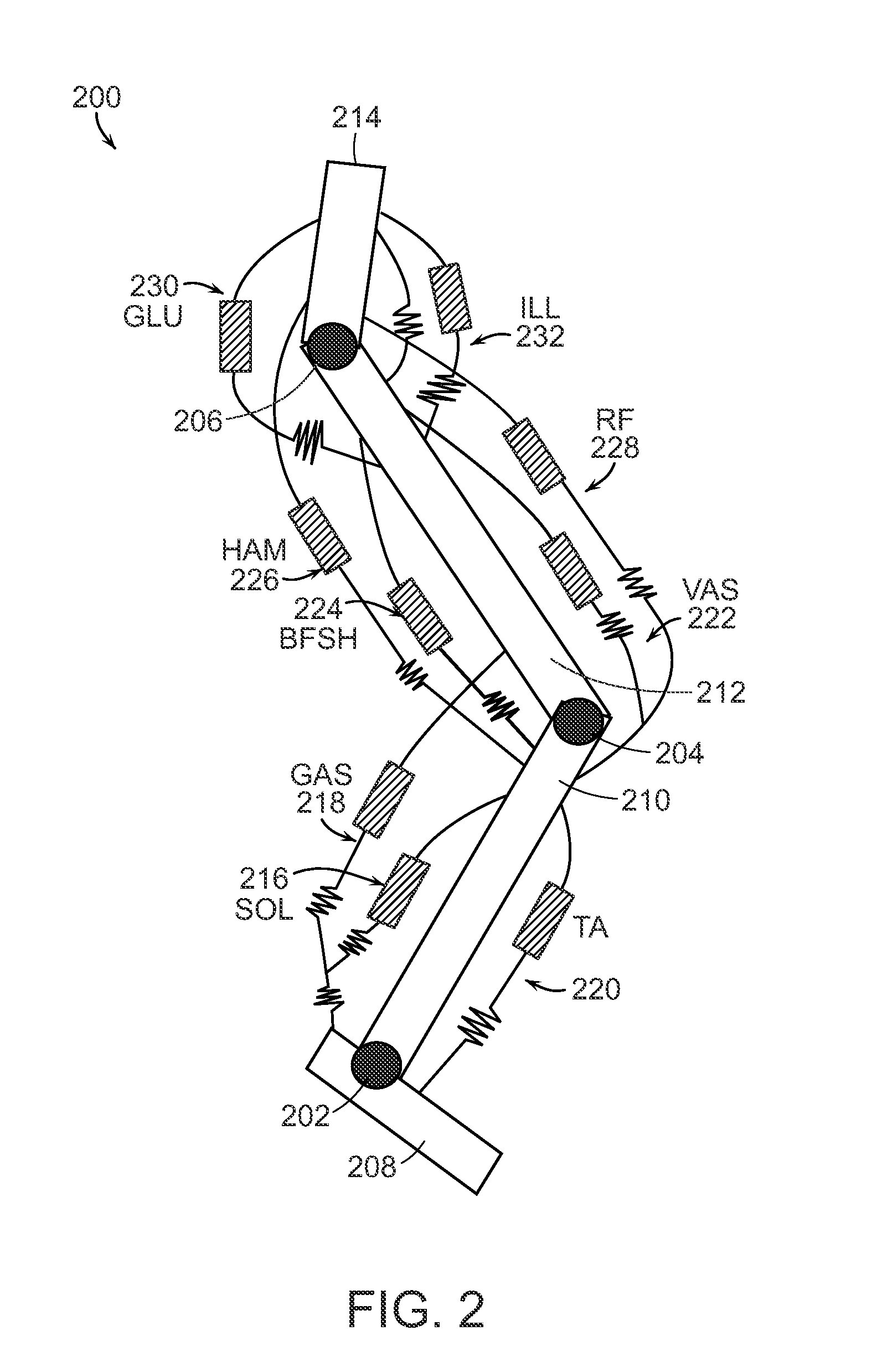 Neuromuscular Model-Based Sensing And Control Paradigm For A Robotic Leg