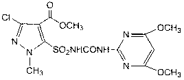 Weeding composition containing halosulfuron-methyl and florasulam