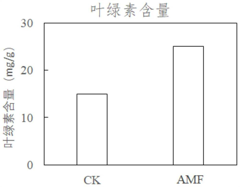 Ecological restoration method for river sediment