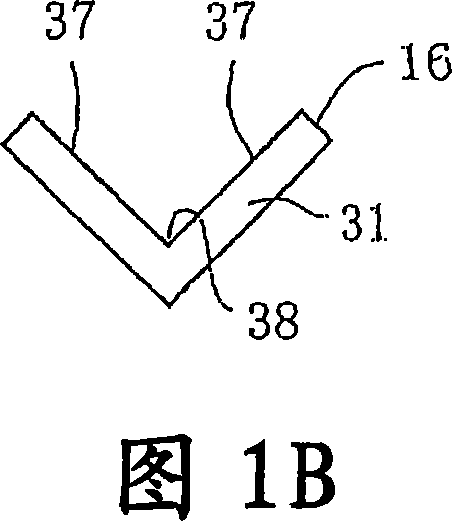 Projection nut feeding device