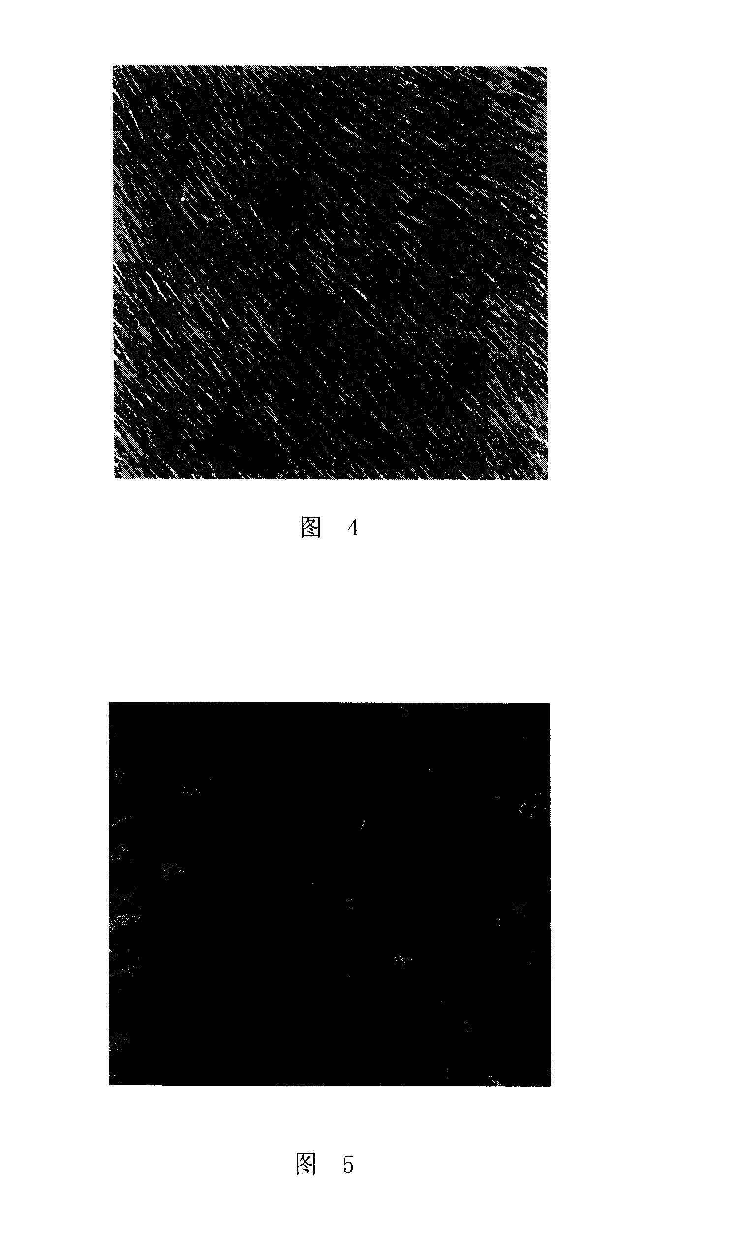 Method for cultivating adult distal arteria pulmonalis smooth muscle cells