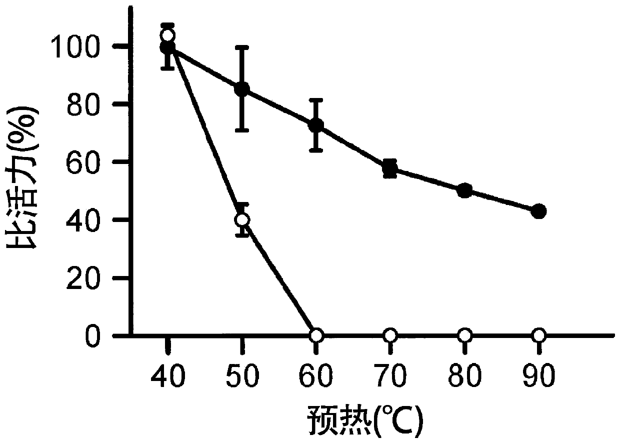 Horseshoe crab factor b variant