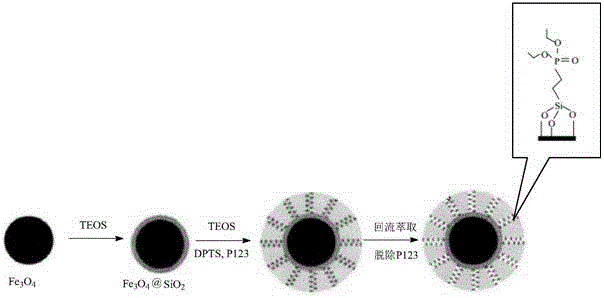 Preparation method of double-shell phosphonyl modified silica magnetic microsphere for extracting uranium from brine