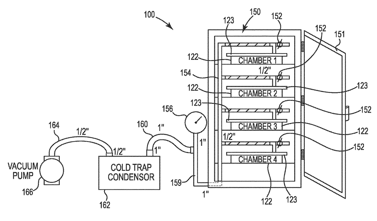 Botanical freeze drying system and method