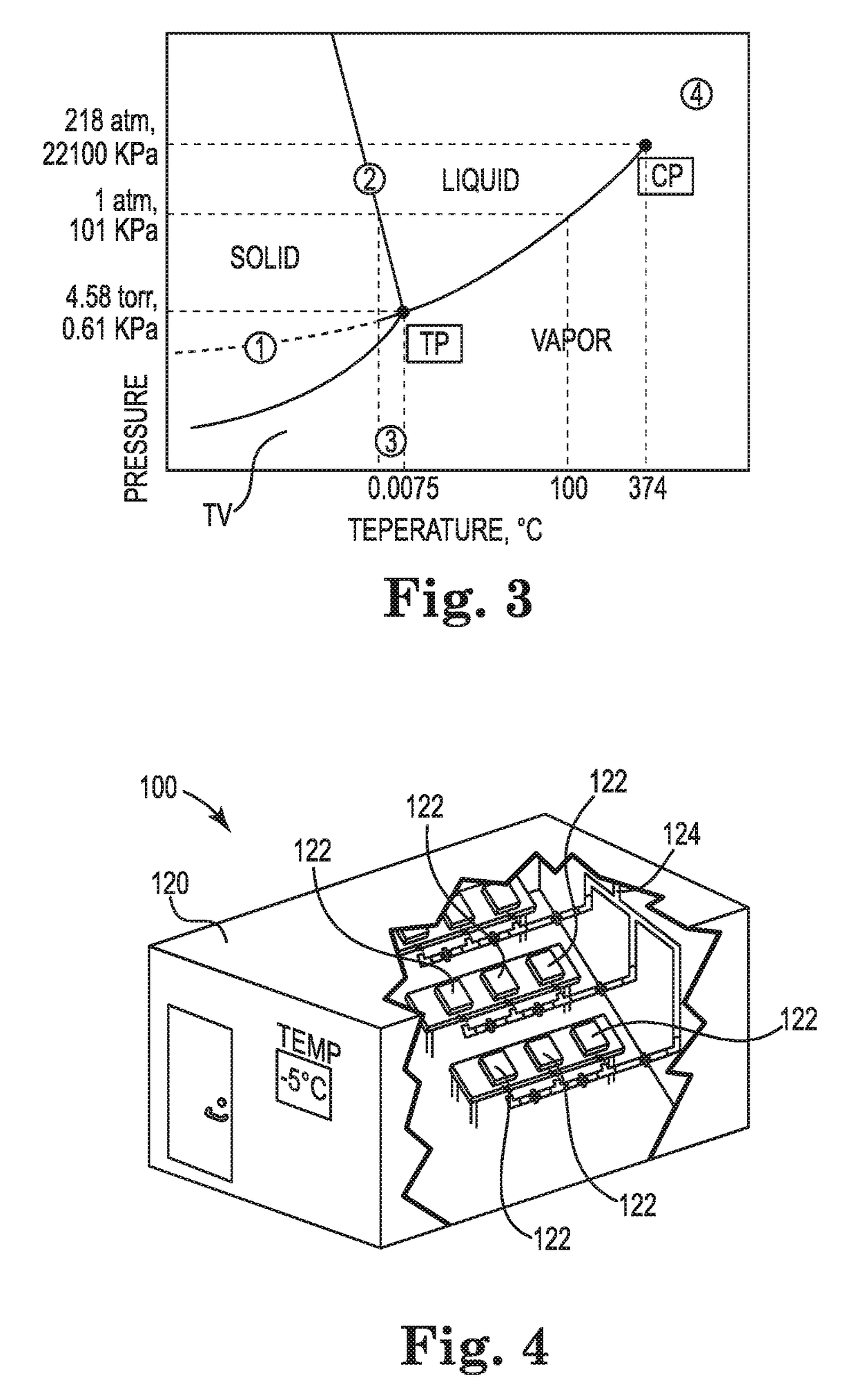 Botanical freeze drying system and method