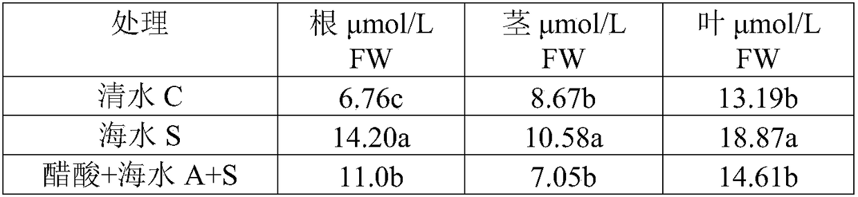 Method for relieving stress of saline-alkali soil on grape growth by irrigating acetic acid