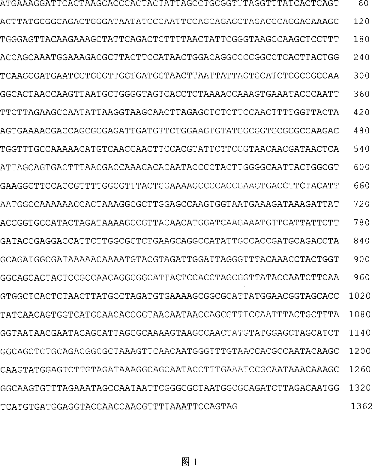 Beta-agaropectinase gene aga, its preparation method and application