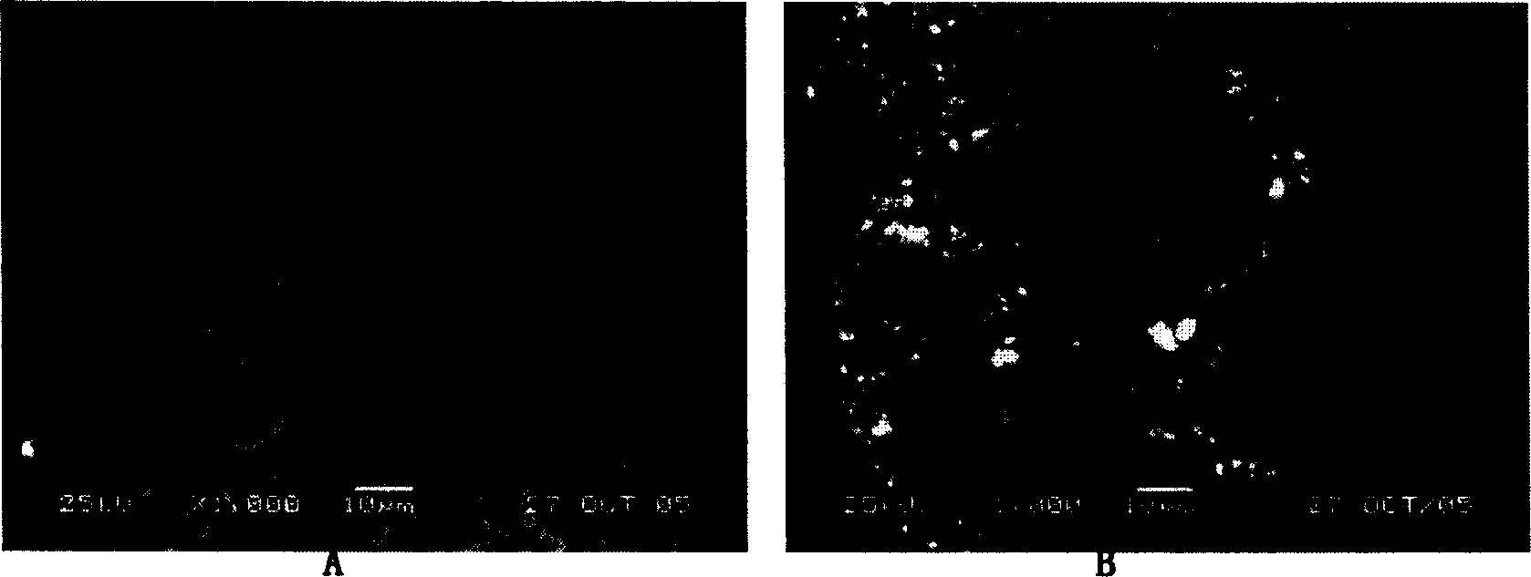 Method for preparing silicon carbide fiber reinforced silicon carbide composite material