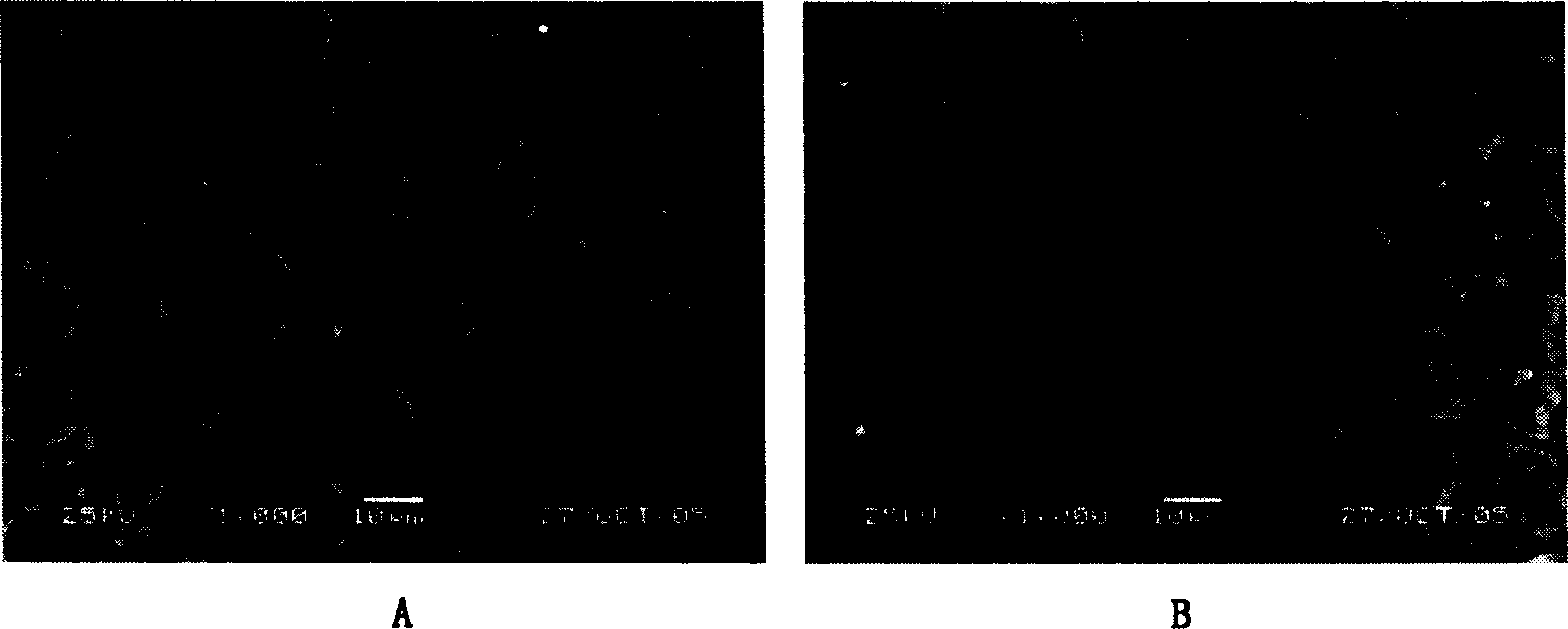 Method for preparing silicon carbide fiber reinforced silicon carbide composite material