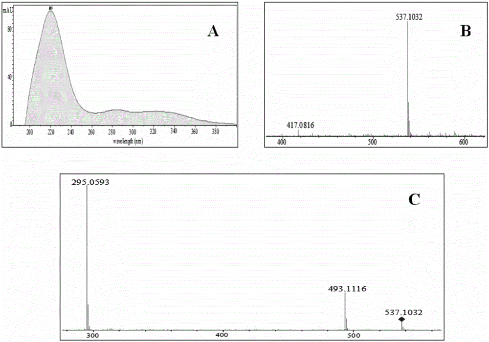 Chemical component identification and active component screening method of Shenxiong glucose injection