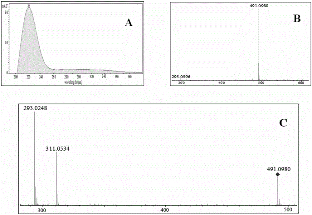 Chemical component identification and active component screening method of Shenxiong glucose injection