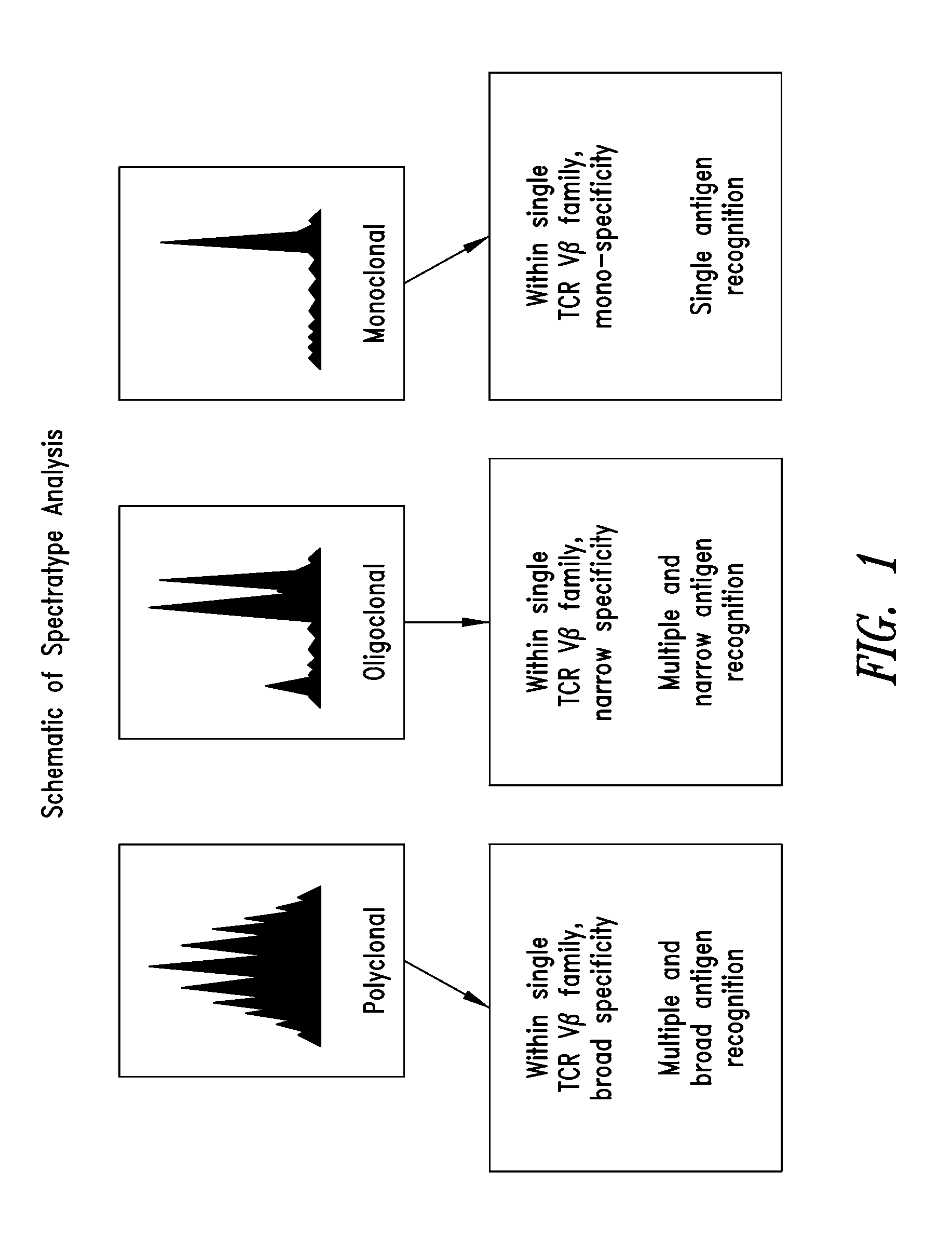 Compositions and methods for restoring immune responsiveness in patients with immunological defects