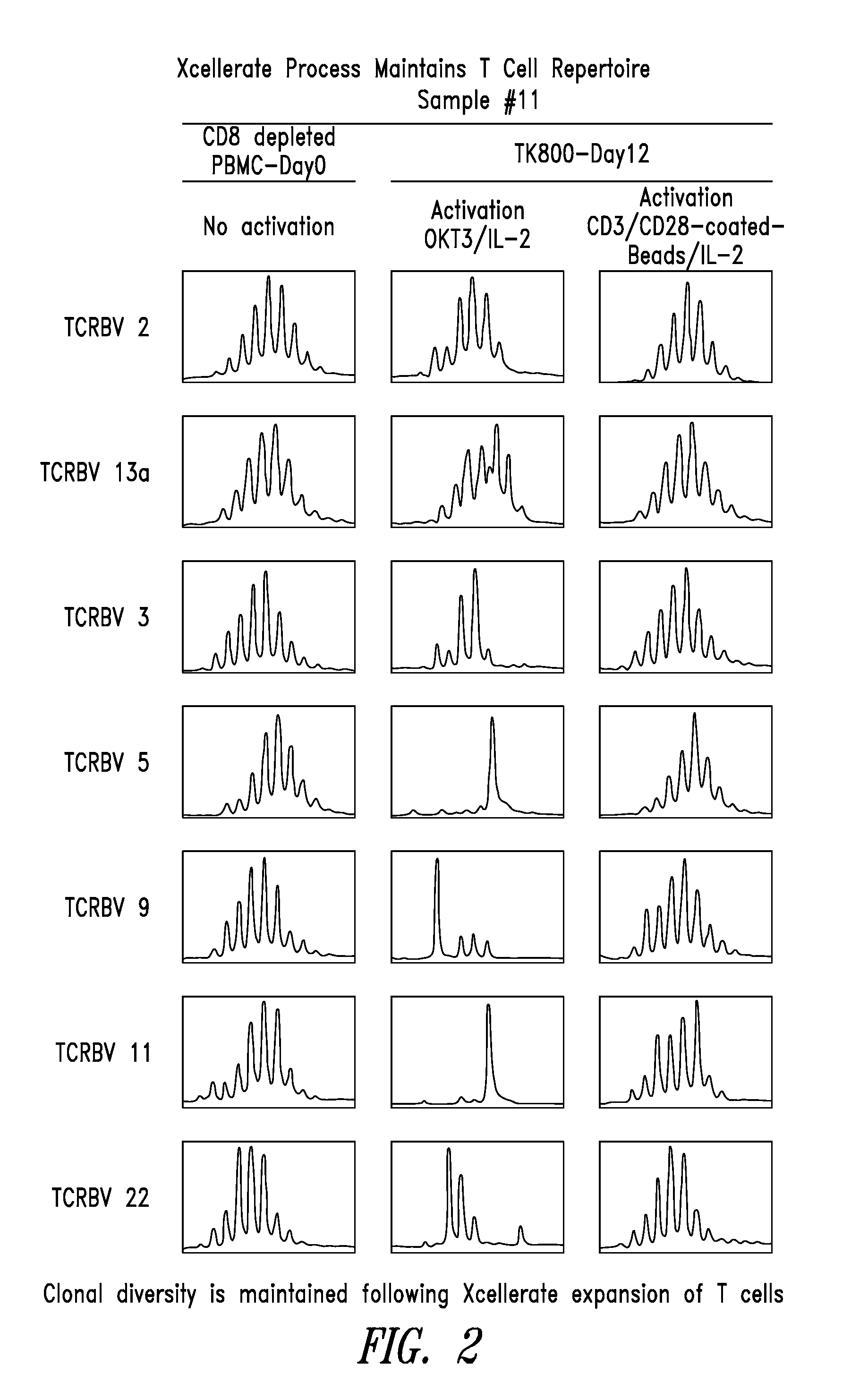 Compositions and methods for restoring immune responsiveness in patients with immunological defects