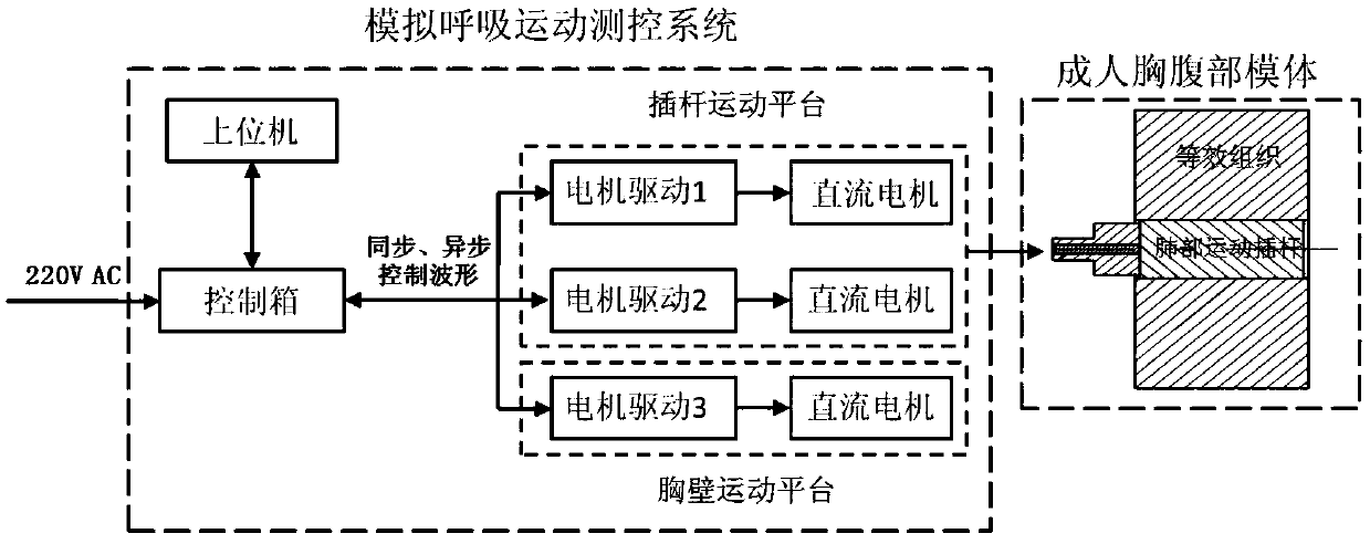 Adult chest and abdomen dose verification dynamic phantom