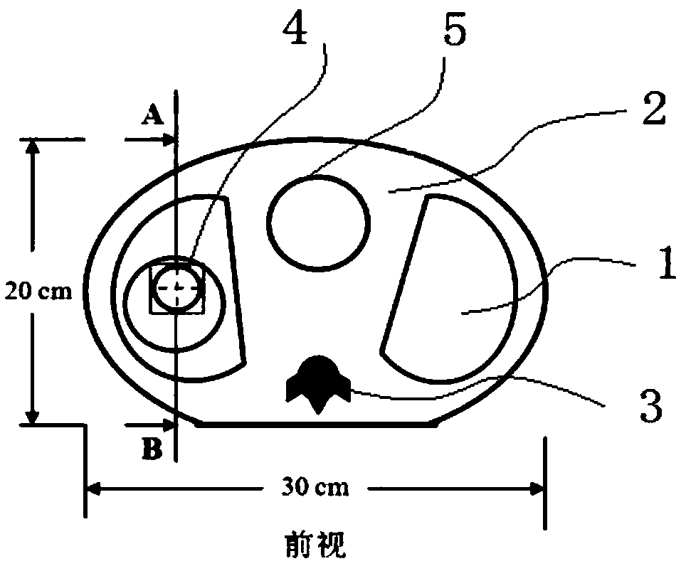 Adult chest and abdomen dose verification dynamic phantom