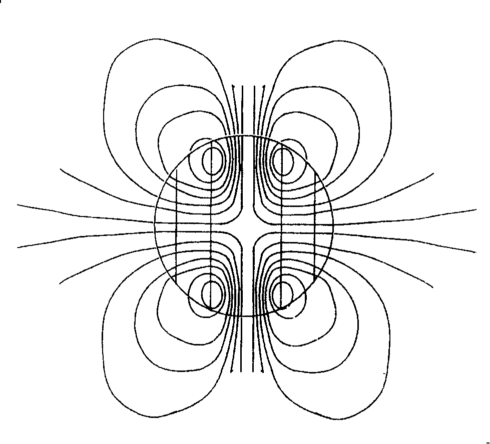 Portable permanent gyromagnetic rehabilitation device