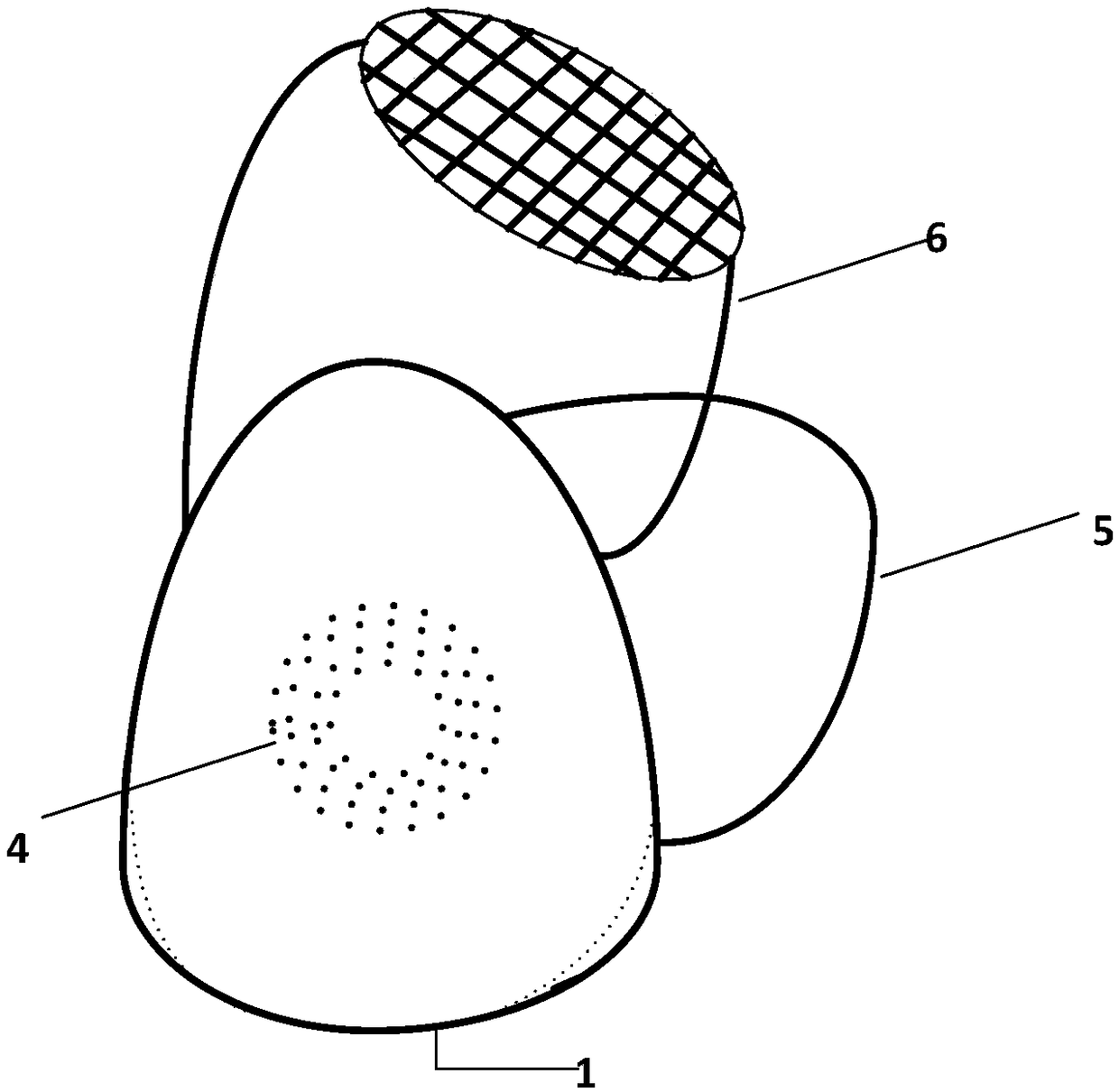 Simple positron nuclide real time detection mask and detection method