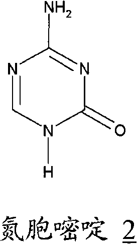 Process for the synthesis of azacitidine and decitabine