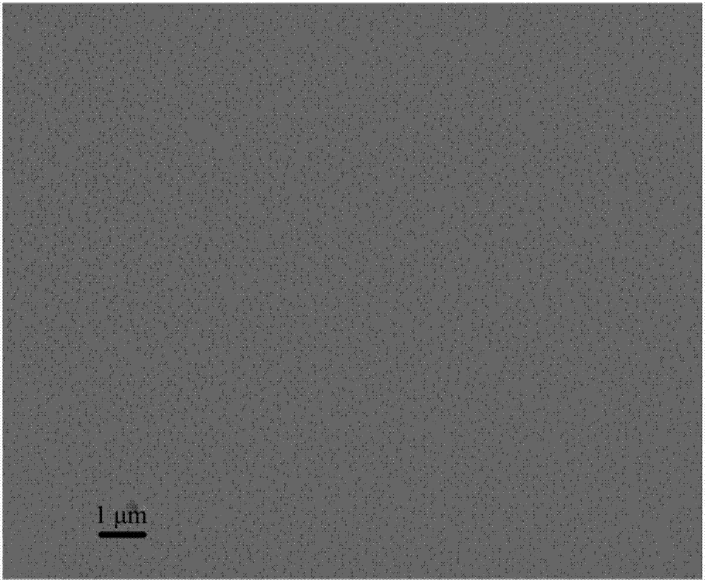 Preparation method of monolayer molybdenum disulfide thin film