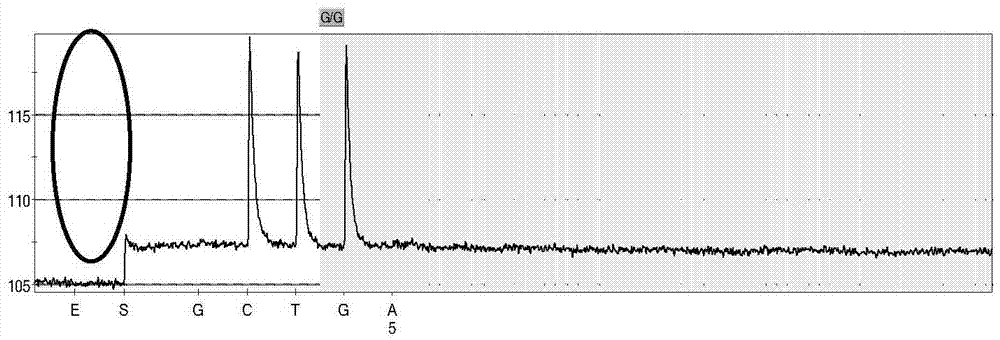 Non-syndromic deafness gene polymorphism detecting kit and application thereof