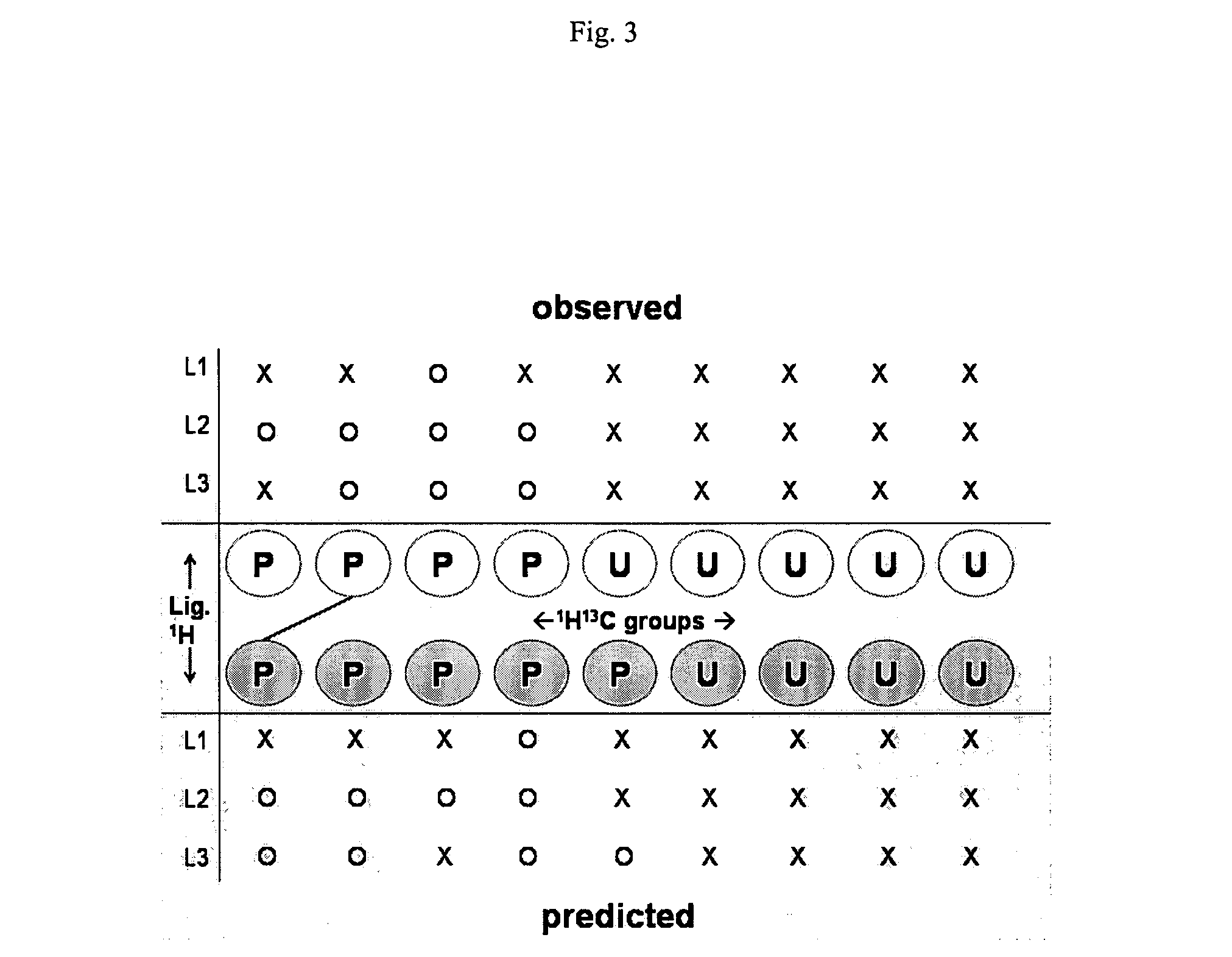 Protein-ligand NOE matching for high-throughput structure determination