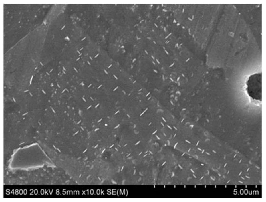 High-strength wear-resistant brass alloy and preparation method thereof