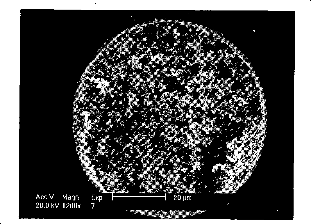 Alkylamine silica gel capillary monolithic column and preparation method and use thereof