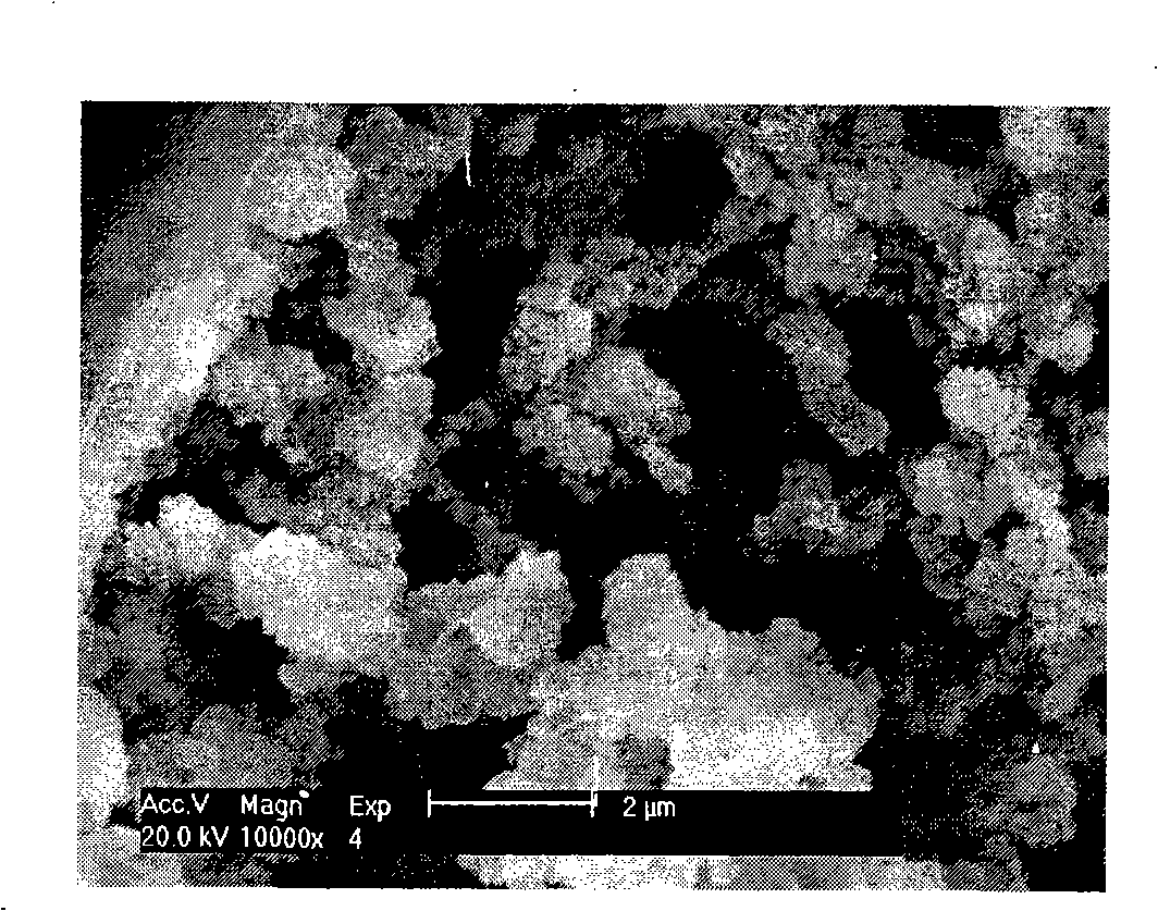 Alkylamine silica gel capillary monolithic column and preparation method and use thereof