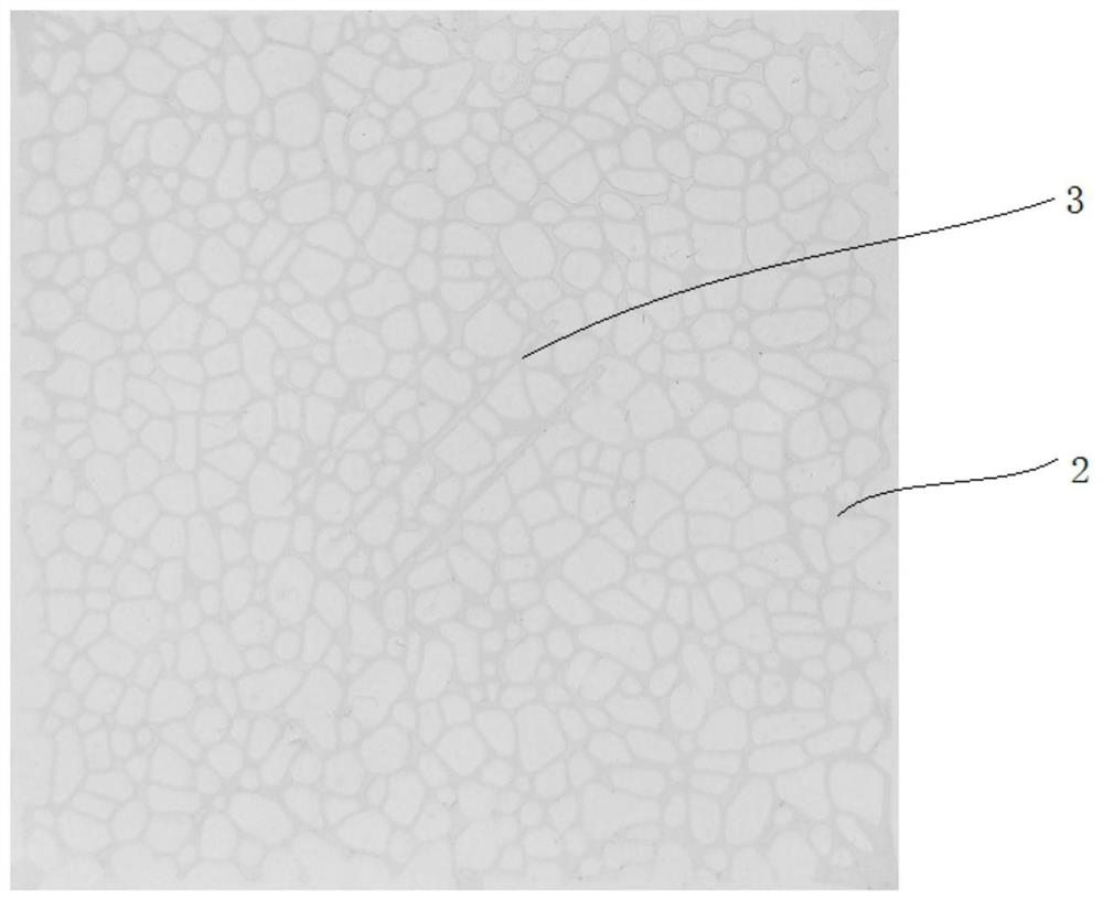 Method for analyzing microscopic seepage law of thermal reservoir recharge water