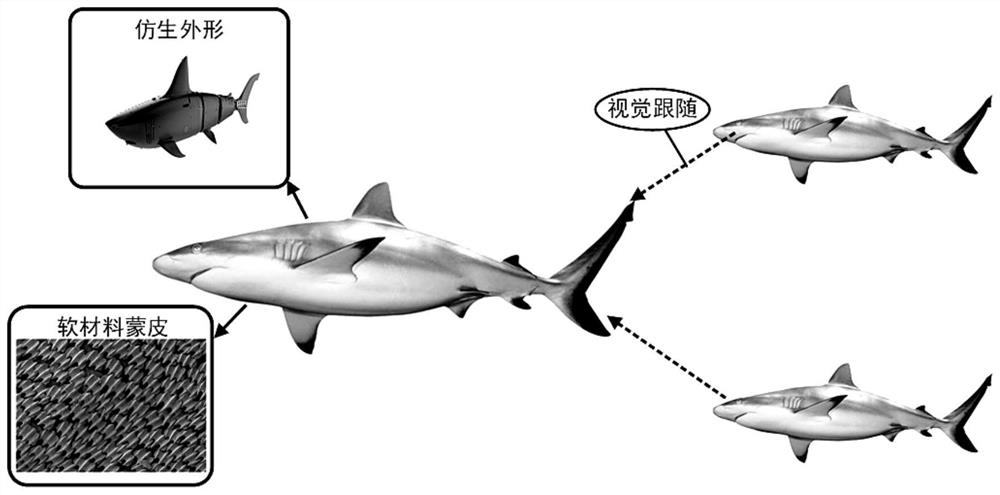 A kind of underwater bionic guiding robot fish and guiding fish movement method