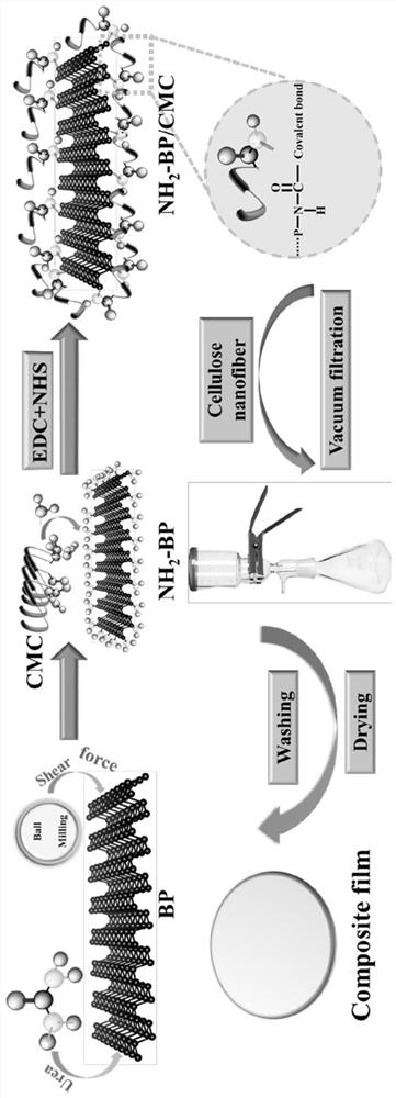 Preparation and application of green nanocellulose high-thermal-conductivity composite film