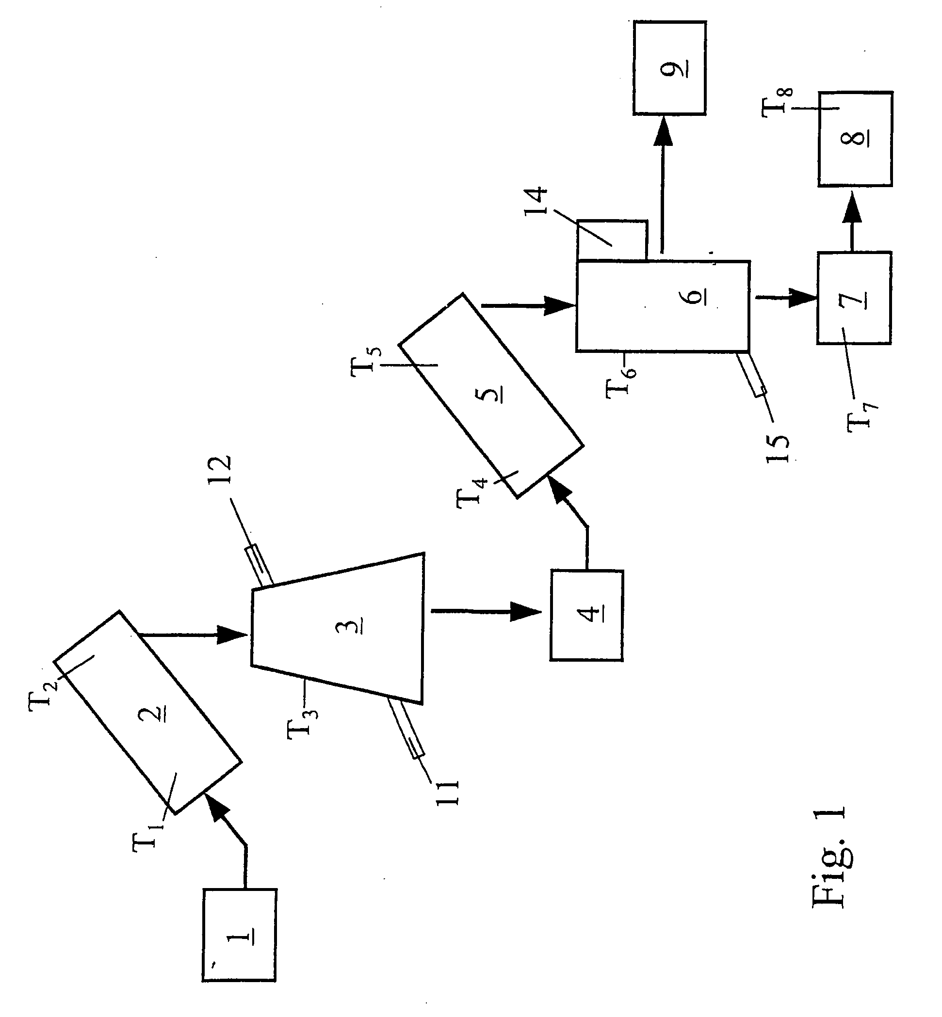 Method and Device for the Decontamination of Plastic Flakes