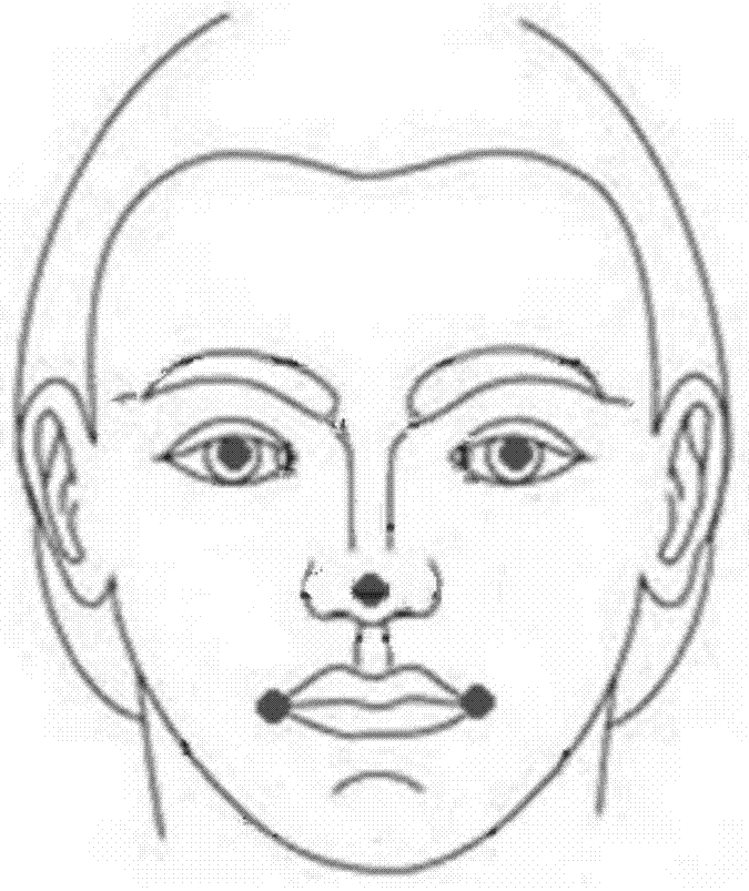 Face key point detecting method and device