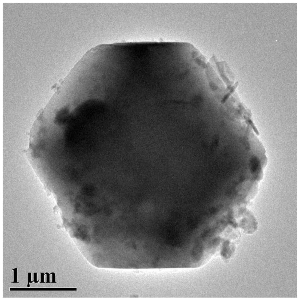 Detection method of macrolide antibiotics in honey and its sample processing method