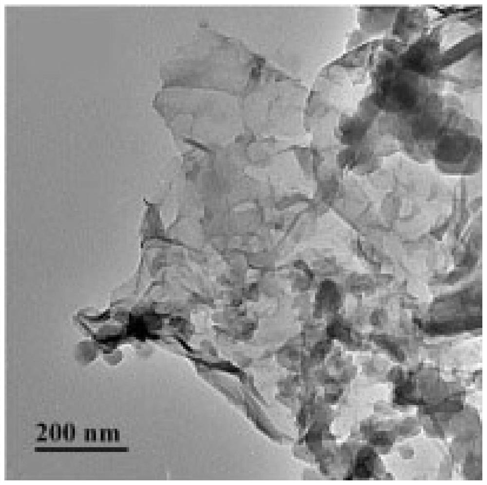 Detection method of macrolide antibiotics in honey and its sample processing method