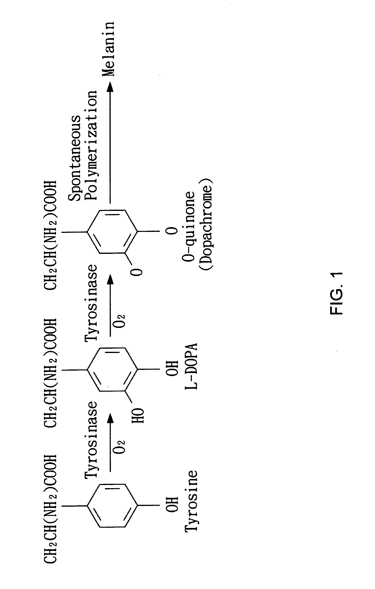 Skin-whitening composition containing tyrosinase inhibitor