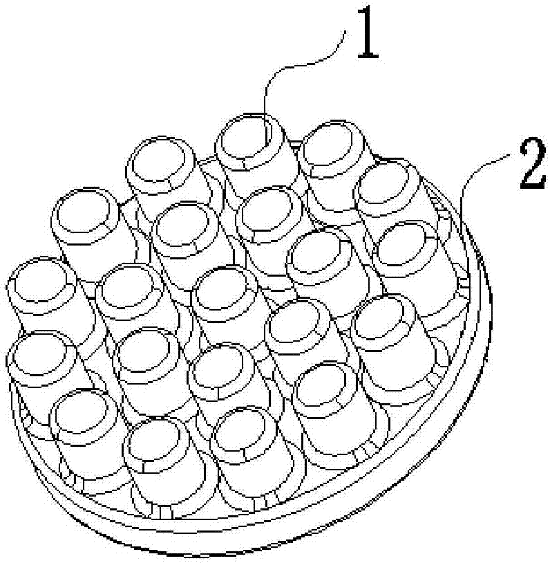 Flexible dry type electrode for collecting electroencephalograms and preparation method thereof