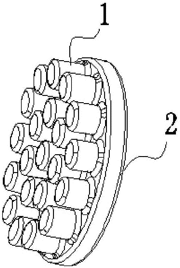 Flexible dry type electrode for collecting electroencephalograms and preparation method thereof