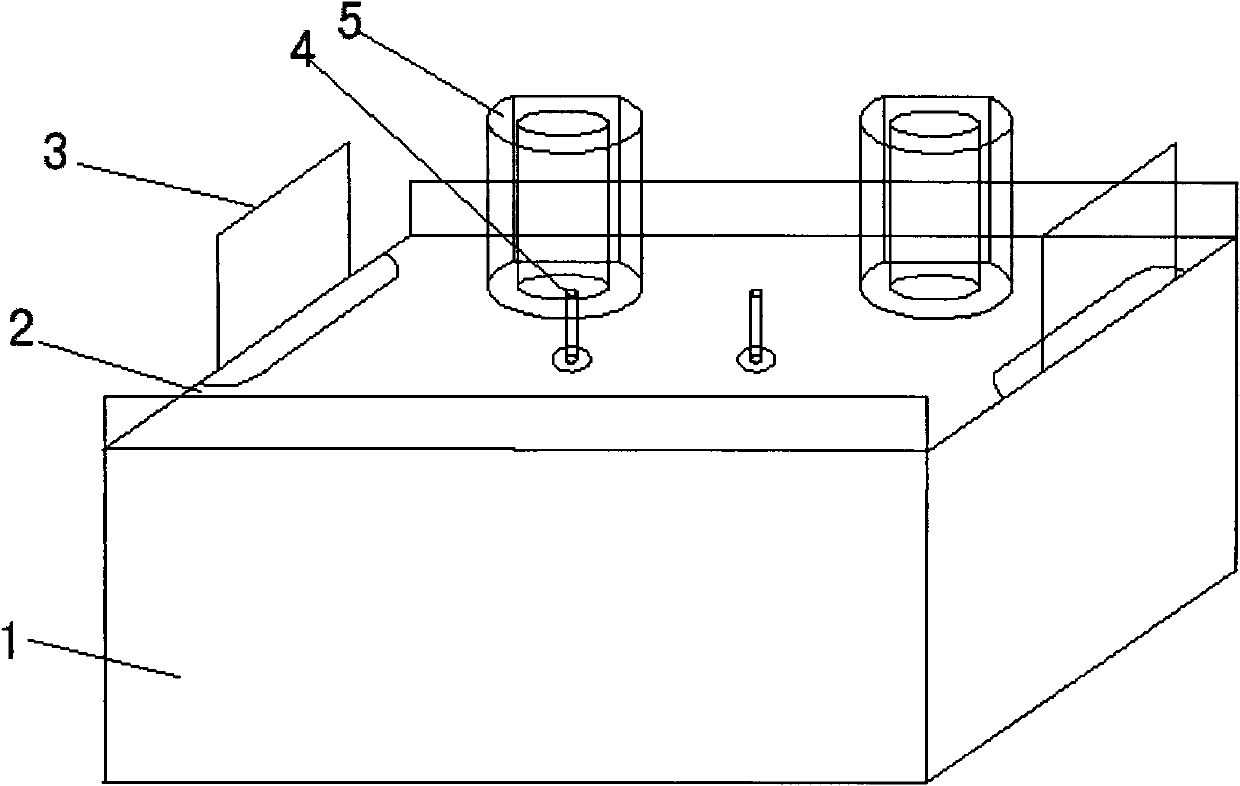 Detecting device and detection method of ion transmembrane migration number tracking