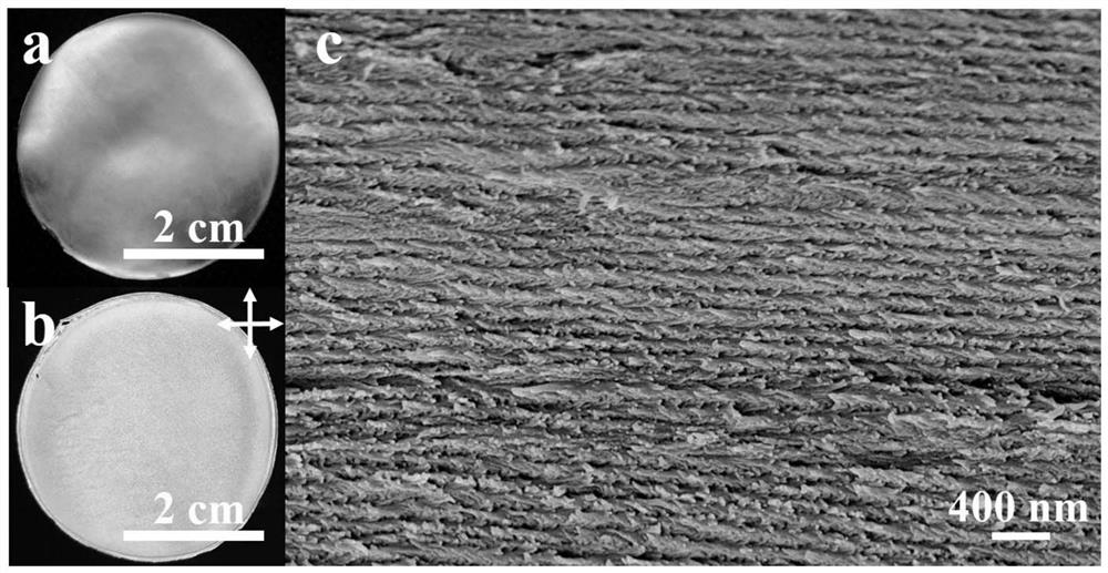 Stress response type optical hydrogel as well as preparation method and application thereof