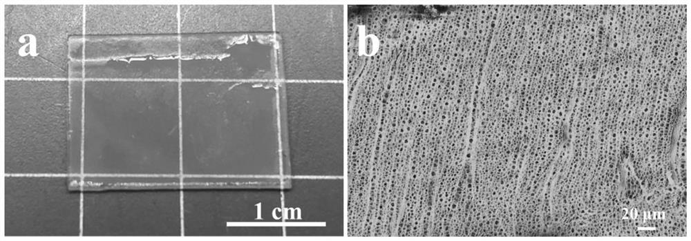 Stress response type optical hydrogel as well as preparation method and application thereof