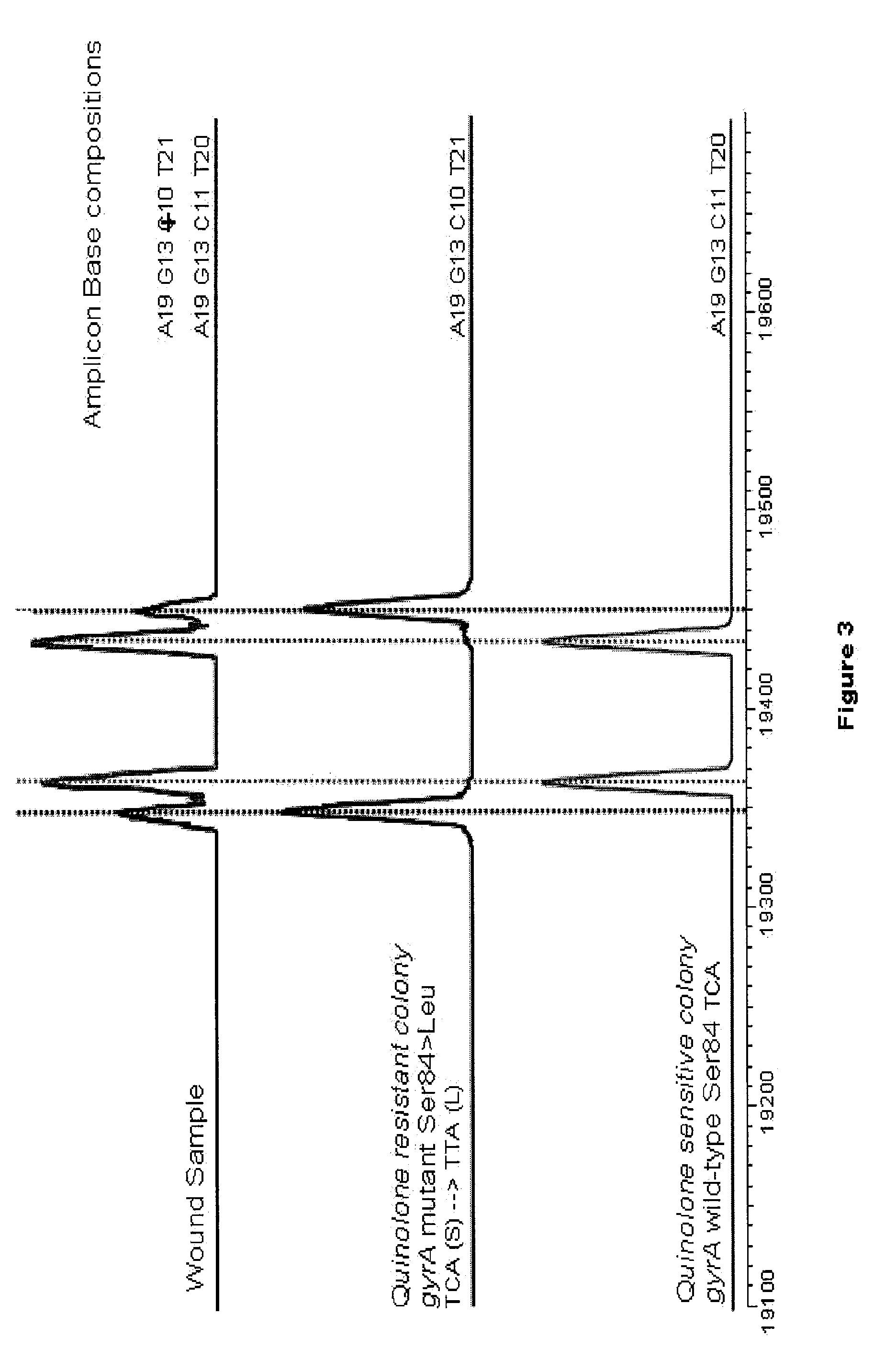 Compositions for use in identification of mixed populations of bioagents