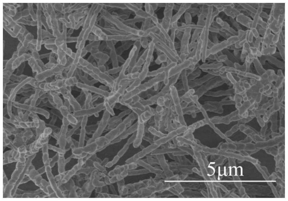 A kind of silicone rubber-based DC cable accessory material and preparation method thereof