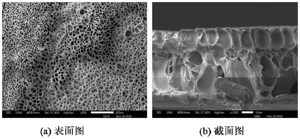 A kind of ordered basic anion exchange membrane and its preparation method and application